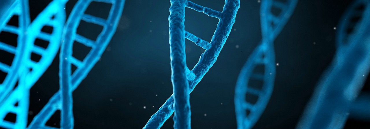 蓝色 DNA 链